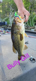 4" B'Vour - Bully Gill