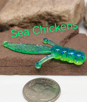 1.75" Mini Beaver - Sea Chickens 009