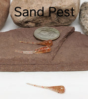 .9" Little Ben Whip Tail - SAND PEST 025