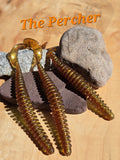 4.5" CURL TAIL RING WORM - The PERCHER