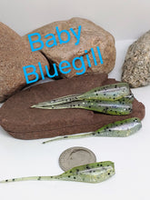 Load image into Gallery viewer, Tickle Tail Shad 2&quot; - Baby Bluegill
