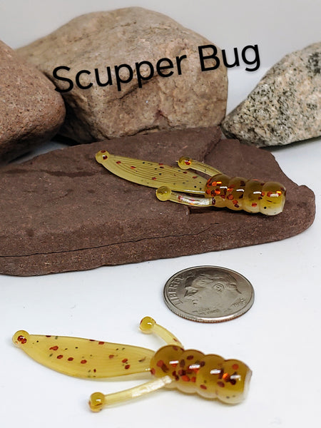 1.75" Mini Beaver - Scupper Bug 010